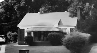 3078 Larkspur